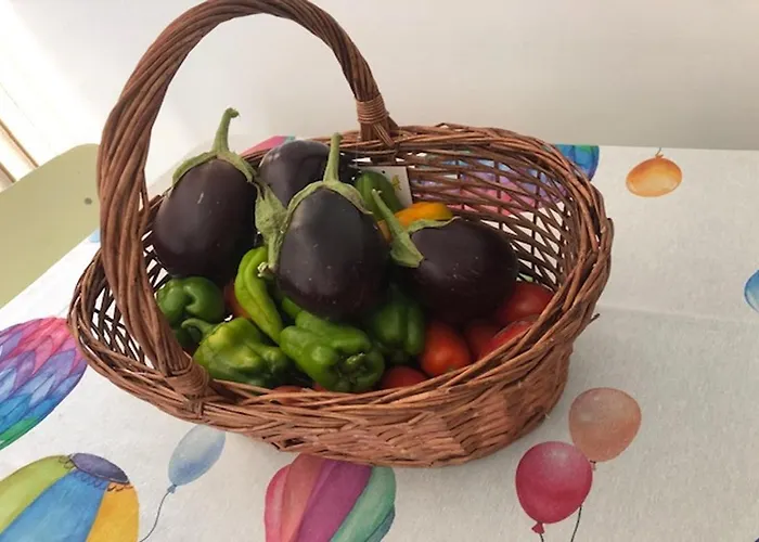 Masseria Adduci 公寓 Cerchiara di Calabria